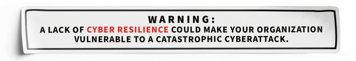 Cyber Resilience
